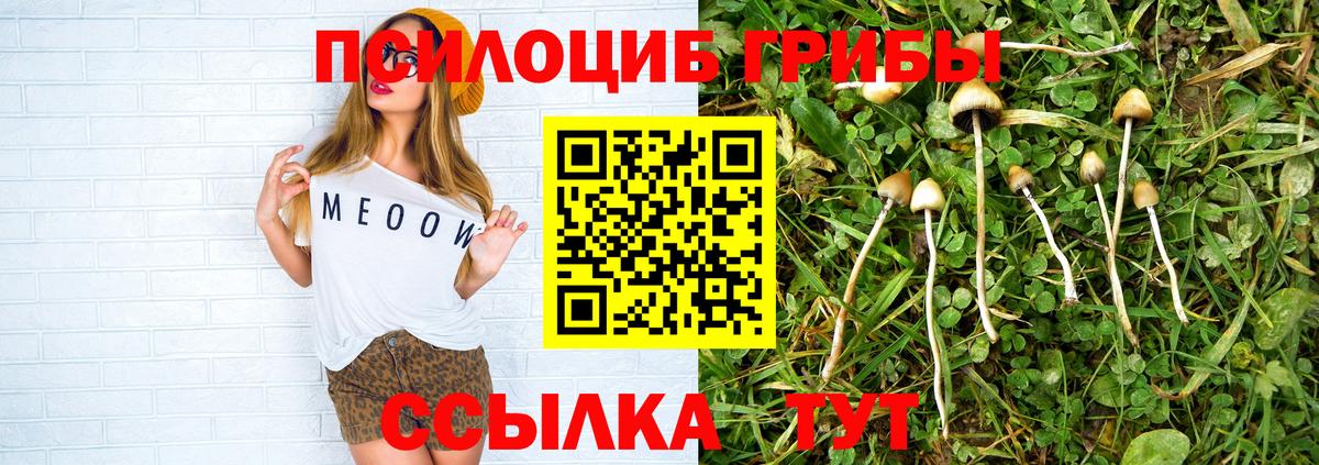 Галлюциногенные грибы мицелий Кропоткин